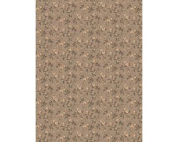 Boråstapeter Vliesbehang 4520 - Anno - Klassiek Bruin - 53cm x 10.05m