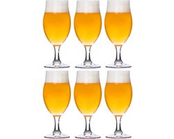 Bormioli Rocco Executive Bierglas - 25 cl - Set-6