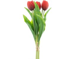 Bosje kunst tulpen Holland Sally X5 red 36 cm