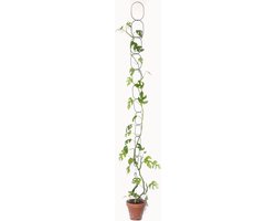Botanopia messing plantenketting (klimondersteuning voor planten) 190 cm Zwart - Klimplantensteun Zwart