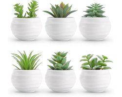 BOTC Kunstmatige vetplanten in potten - Kleine nepplanten voor de slaapkamer - Esthetische decoratie - 6 stuks