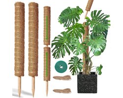 BOTC Mosstok voor Planten - 2x40cm - Plantenstok - Plantensteun - Perfect voor Monstera, Pothos en Meer