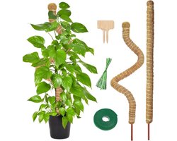 BOTC Mosstok voor Planten - 6-Delig - Plantenstok - Plantensteun - Perfect voor Monstera, Pothos en Meer