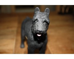 Bouvier