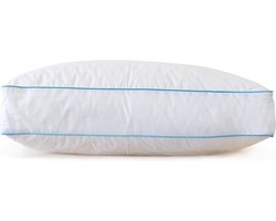 Box kussen- Holle vezel- wasbaar-vulbaar - Hotel Kwaliteit- 60x50x10CM- wit