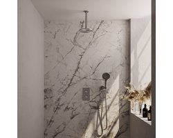 Brauer Brushed Edition - Regendouche met Thermostaatkraan - Set 35 - Inbouw Plafond - 20cm - Rond - Geborsteld Nikkel PVD - met Handdouche
