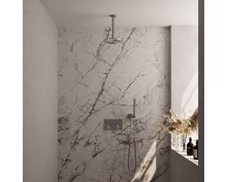 BRAUER Brushed Edition thermostatische inbouw regendouche met drukknoppen SET 53 met 20 cm douchekop en plafondarm en staaf handdouche en doucheslang en wandaansluitbocht RVS geborsteld PVD
