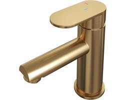 Brauer Gold - Edition Wastafelmengkraan opbouw - laag - model C - PVD - geborsteld goud