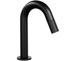 Brauer Mat Zwart Fonteinkraan met Gebogen Uitloop - Black Carving