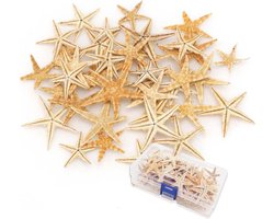 Brenzoos - Natuurlijke zeesterren 20 stuks - Maritieme decoratie voor doe-het-zelf handwerk en strandthemafeesten - 3-5 cm - Wooncultuur en bruiloftsdecoratie - Schilderen - Zeester deeln voor Brenzoos. - Hobbydecoratieobject