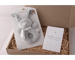 brievenbus cadeau set baby newborn | rammelaar | konijn | in verwachting |