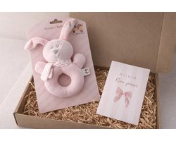 brievenbus cadeau set baby newborn | rammelaar | konijn | roze | welkom kleine prinses | meisje