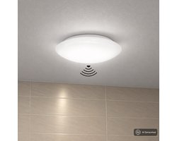 BRILONER Elipso - LED Pafondlamp met bewegingssensor - badkamerverlichting met bewegingsmelder - plafonniere met schemersensor - timer - Ø27.8 cm