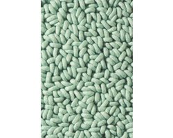 Brink en Campman - Aura 70007 Vloerkleed - 170x240 cm - Rechthoekig - Hoogpolig, Structuur Tapijt - Design, Modern - Mint Groen