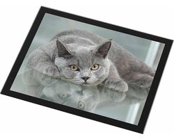 Britse Korthaar Glazen Placemat met zwarte rand