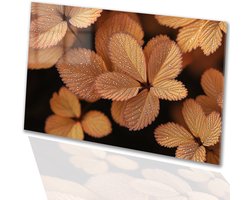 Bronzen bladeren met dauwdruppels - Bladeren schilderijen glas - Wanddecoratie glas natuur - Hyperrealisme - Schilderij plexiglas - Decoratie kamer - acrylglas 60x40 cm