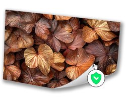 Bronzen bladeren met waterdruppels - Bladeren muurdecoratie - Wanddecoratie natuur - Hyperrealisme - Wanddecoratie posters - Muurdecoratie posters - poster 90x60 cm