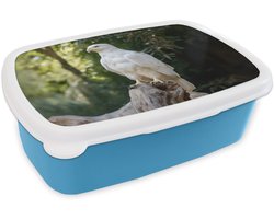 Broodtrommel Blauw - Lunchbox Arend - Hout - Wit - Planten - Brooddoos 18x12x6 cm - Brood lunch box - Broodtrommels voor kinderen en volwassenen