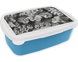 Broodtrommel Blauw - Lunchbox - Brooddoos - Kunst - Koraal - Ernst Haeckel - Oude meesters - Natuur - 18x12x6 cm - Kinderen - Jongen
