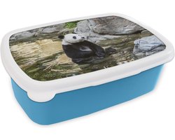 Broodtrommel Blauw - Lunchbox - Brooddoos - Panda - Rivier - Steen - 18x12x6 cm - Kinderen - Jongen