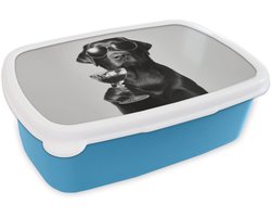 Broodtrommel Blauw - Lunchbox Hond - Zwart - Wijnglas - Zonnebril - Brooddoos 18x12x6 cm - Brood lunch box - Broodtrommels voor kinderen en volwassenen