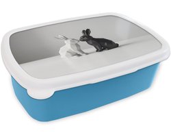 Broodtrommel Blauw - Lunchbox Konijnen - Minimalistisch - Zwart - Wit - Brooddoos 18x12x6 cm - Brood lunch box - Broodtrommels voor kinderen en volwassenen