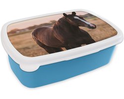 Broodtrommel Blauw - Lunchbox Paard - Zonsondergang - Bruin - Brooddoos 18x12x6 cm - Brood lunch box - Broodtrommels voor kinderen en volwassenen