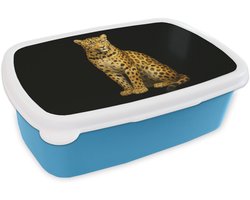 Broodtrommel Blauw - Lunchbox Panter - Realistisch - Bruin - Brooddoos 18x12x6 cm - Brood lunch box - Broodtrommels voor kinderen en volwassenen