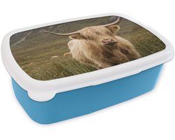 Broodtrommel Blauw - Lunchbox Schotse hooglander - Bergen - Grasveld - Brooddoos 18x12x6 cm - Brood lunch box - Broodtrommels voor kinderen en volwassenen