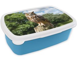Broodtrommel Blauw - Lunchbox Uil - Boomstronk - Bos - Lucht - Brooddoos 18x12x6 cm - Brood lunch box - Broodtrommels voor kinderen en volwassenen