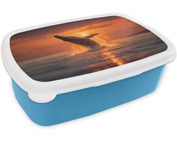 Broodtrommel Blauw - Lunchbox Walvis - Zon - Zee - Brooddoos 18x12x6 cm - Brood lunch box - Broodtrommels voor kinderen en volwassenen