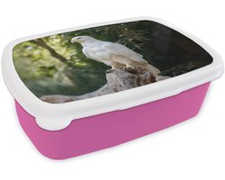 Broodtrommel Roze - Lunchbox Arend - Hout - Wit - Planten - Brooddoos 18x12x6 cm - Brood lunch box - Broodtrommels voor kinderen en volwassenen