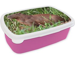 Broodtrommel Roze - Lunchbox - Brooddoos - Een Capibara zittend op de rivieroever in het moerasgebied van Pantanal - 18x12x6 cm - Kinderen - Meisje