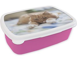 Broodtrommel Roze - Lunchbox Kat - Bed - Bedsprei - Meisjes - Kinderen - Jongens - Kind - Brooddoos 18x12x6 cm - Brood lunch box - Broodtrommels voor kinderen en volwassenen