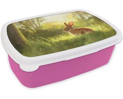 Broodtrommel Roze - Lunchbox Konijn - Zonlicht - Bos - Brooddoos 18x12x6 cm - Brood lunch box - Broodtrommels voor kinderen en volwassenen