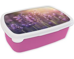 Broodtrommel Roze - Lunchbox Lavendelbloemen - Paars - Zonlicht - Brooddoos 18x12x6 cm - Brood lunch box - Broodtrommels voor kinderen en volwassenen