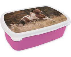 Broodtrommel Roze - Lunchbox Paard - Bruin - Gras - Brooddoos 18x12x6 cm - Brood lunch box - Broodtrommels voor kinderen en volwassenen