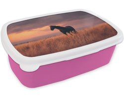 Broodtrommel Roze - Lunchbox Paard - Wolken - Open veld - Brooddoos 18x12x6 cm - Brood lunch box - Broodtrommels voor kinderen en volwassenen