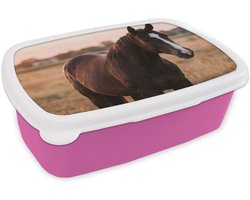 Broodtrommel Roze - Lunchbox Paard - Zonsondergang - Bruin - Brooddoos 18x12x6 cm - Brood lunch box - Broodtrommels voor kinderen en volwassenen