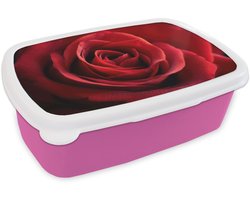 Broodtrommel Roze - Lunchbox Rood - Roos - Romantisch - Brooddoos 18x12x6 cm - Brood lunch box - Broodtrommels voor kinderen en volwassenen