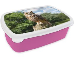 Broodtrommel Roze - Lunchbox Uil - Boomstronk - Bos - Lucht - Brooddoos 18x12x6 cm - Brood lunch box - Broodtrommels voor kinderen en volwassenen
