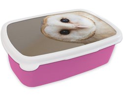 Broodtrommel Roze - Lunchbox Uil - Bruin - Wit - Brooddoos 18x12x6 cm - Brood lunch box - Broodtrommels voor kinderen en volwassenen