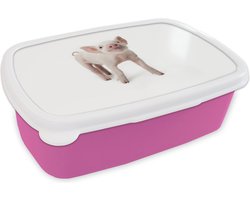 Broodtrommel Roze - Lunchbox Varken - Dieren - Wit - Brooddoos 18x12x6 cm - Brood lunch box - Broodtrommels voor kinderen en volwassenen