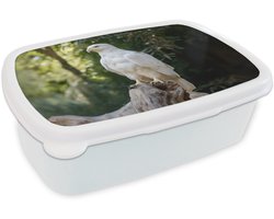 Broodtrommel Wit - Lunchbox Arend - Hout - Wit - Planten - Brooddoos 18x12x6 cm - Brood lunch box - Broodtrommels voor kinderen en volwassenen