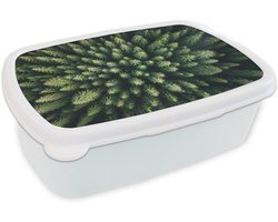 Broodtrommel Wit - Lunchbox Bomen - Naaldwoud - Structuur - Brooddoos 18x12x6 cm - Brood lunch box - Broodtrommels voor kinderen en volwassenen