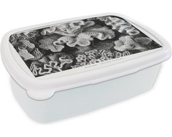 Broodtrommel Wit - Lunchbox - Brooddoos - Kunst - Koraal - Ernst Haeckel - Oude meesters - Natuur - 18x12x6 cm - Volwassenen