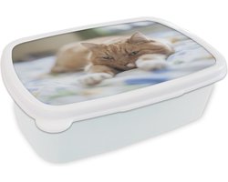 Broodtrommel Wit - Lunchbox Kat - Bed - Bedsprei - Meisjes - Kinderen - Jongens - Kind - Brooddoos 18x12x6 cm - Brood lunch box - Broodtrommels voor kinderen en volwassenen