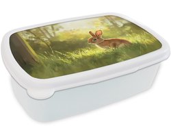 Broodtrommel Wit - Lunchbox Konijn - Zonlicht - Bos - Brooddoos 18x12x6 cm - Brood lunch box - Broodtrommels voor kinderen en volwassenen