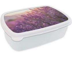Broodtrommel Wit - Lunchbox Lavendel - Paars - Zonlicht - Brooddoos 18x12x6 cm - Brood lunch box - Broodtrommels voor kinderen en volwassenen