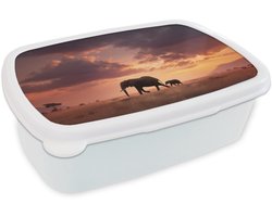 Broodtrommel Wit - Lunchbox Olifanten - Grasland - Zonsondergang - Brooddoos 18x12x6 cm - Brood lunch box - Broodtrommels voor kinderen en volwassenen